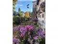 FerienhausItalien - : 79270