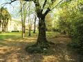 FerienhausItalien - : 79270