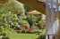 Holiday homeItaly - : Villa Giuditta Otto  [24] 