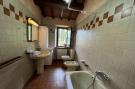 Holiday homeItaly - : Pinocchio