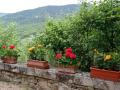 Holiday homeItaly - : 29711