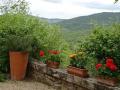 Holiday homeItaly - : 29711