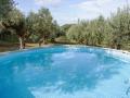 FerienhausItalien - : 140972