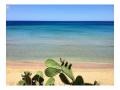 Holiday homeItaly - : 103884