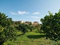 Holiday homeItaly - : 103884