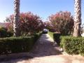 Holiday homeItaly - : 491738