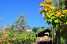 Holiday homeItaly - : Appartamento 1 max 5 pax  [12] 