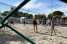 FerienhausItalien - Italienische Seen: Caravanpark San Benedetto Camping Relais Peschiera  [27] 