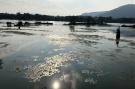 Holiday homeItaly - Lake District: Chardonnay