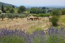 Holiday homeItaly - : Arancio