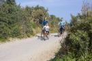 FerienhausNiederlande - : Vakantiepark Soeten Haert 13