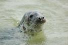 FerienhausNiederlande - : Kustpark Texel 10