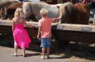 FerienhausNiederlande - : Kustpark Texel 10