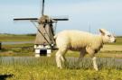 VakantiehuisNederland - : Kustpark Texel 10