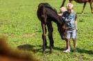 VakantiehuisNederland - : Landgoed De Scheleberg 19