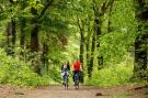 FerienhausNiederlande - : Landgoed De Scheleberg 19