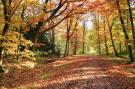 FerienhausNiederlande - : Chalet Vrijzicht