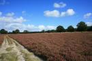 FerienhausNiederlande - : Landgoed Het Grote Zand 13