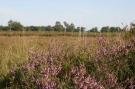 VakantiehuisNederland - : Landgoed Het Grote Zand 1