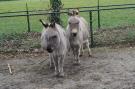 FerienhausNiederlande - : De Kempense Hoeve