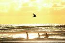 VakantiehuisNederland - : Sea Lodges Zandvoort 1