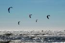 FerienhausNiederlande - : Sea Lodges Zandvoort 1