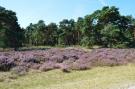 FerienhausNiederlande - : 't Vliegend Hert