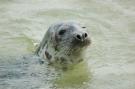 FerienhausNiederlande - : Kustpark Texel 11