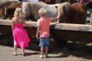 FerienhausNiederlande - : Kustpark Texel 12