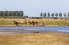 VakantiehuisNederland - : Domein Het Camperveer Veerse Meer 1