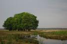 VakantiehuisNederland - : Landgoed De IJsvogel 8