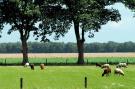 Holiday homeNetherlands - : Het Drentse Wold 4