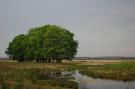 VakantiehuisNederland - : Landgoed De IJsvogel 9