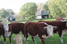 FerienhausNiederlande - : De Grimberghoeve 2