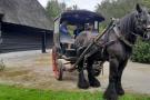 FerienhausNiederlande - : De Karkooi