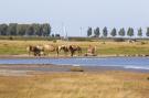 VakantiehuisNederland - : Domein Het Camperveer Veerse Meer 8