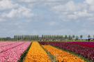 VakantiehuisNederland - : Park Wijdenes 2