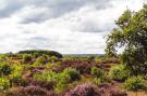 VakantiehuisNederland - : Bospark de Schaapskooi 8