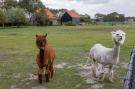 FerienhausNiederlande - : Vakantiehuis Groeneweg 3 'Jikkemien