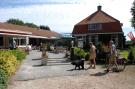 Holiday homeNetherlands - : Het Drentse Wold 5