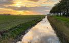 FerienhausNiederlande - : Tzummarum