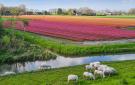 FerienhausNiederlande - : Wijdenes