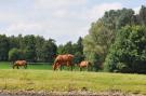 VakantiehuisNederland - : De Berckt 7pax