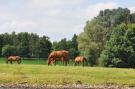 FerienhausNiederlande - : Van Meerwijck 7pax