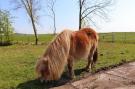 FerienhausNiederlande - : Knus chalet in Friesland met hottub