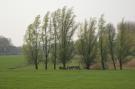 FerienhausNiederlande - : Hoeve Hoogst Tevreden