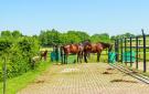 Holiday homeNetherlands - : Udenhout