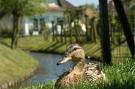 VakantiehuisNederland - : Buitenhof Domburg  14