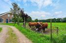 VakantiehuisNederland - : Welskerveen 5