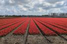 FerienhausNiederlande - : Calm Breeze